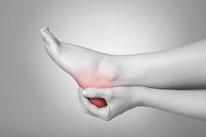 Location of the Plantar Fascia